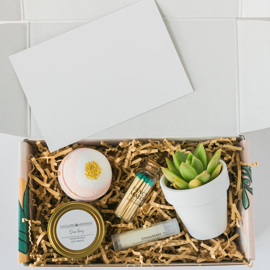 a box with a succulent plant, a potted plant, and some