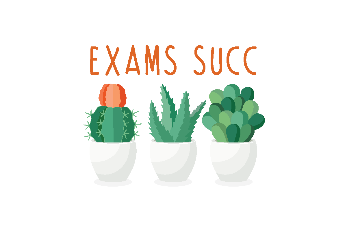 a group of cactuses with the words exam succ