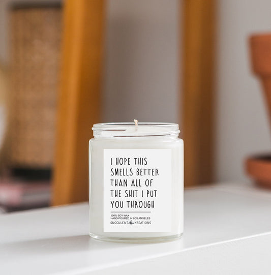 "All The Sh*t I Put You Through" Candle